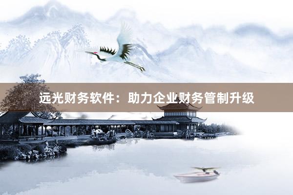 远光财务软件：助力企业财务管制升级