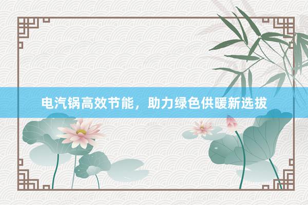 电汽锅高效节能，助力绿色供暖新选拔