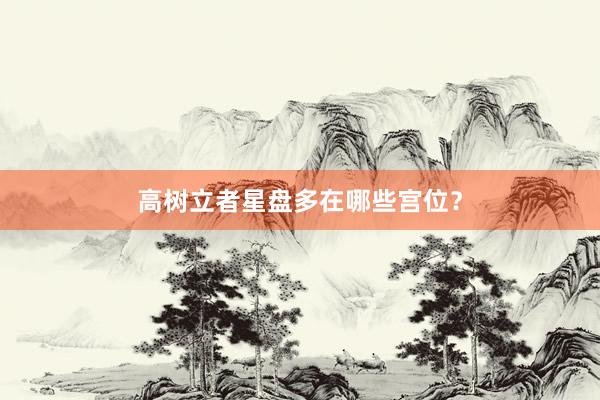 高树立者星盘多在哪些宫位？