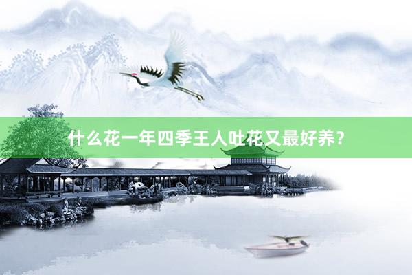 什么花一年四季王人吐花又最好养？