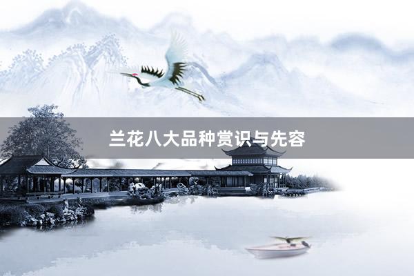 兰花八大品种赏识与先容